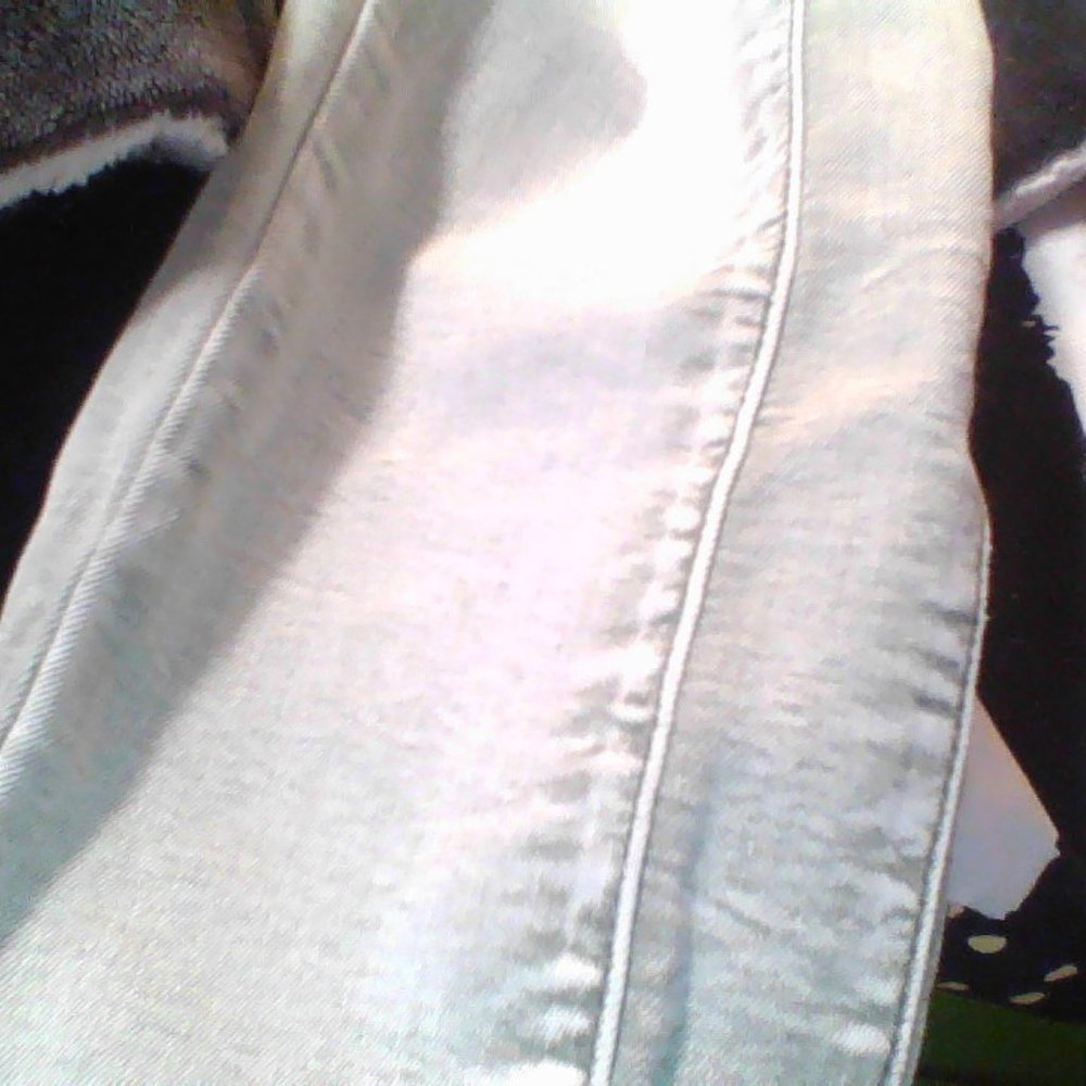 pants - Picture 2 of 5